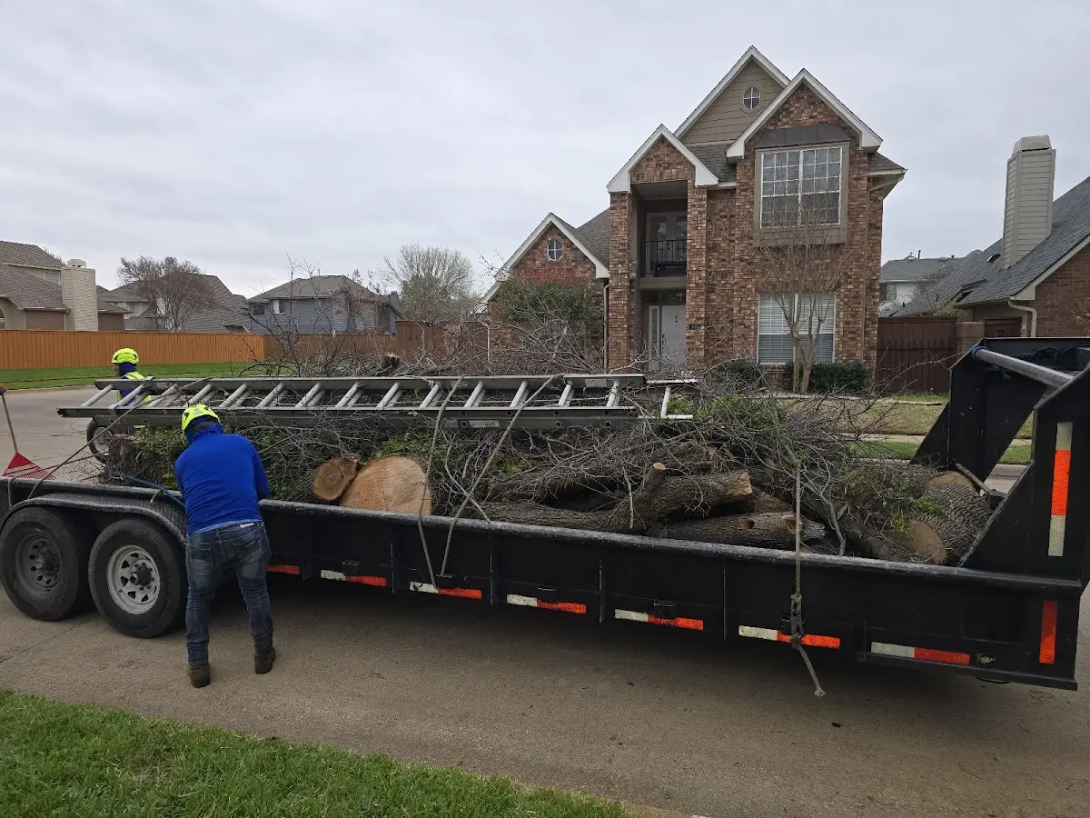 Expert Tree Removal with proper safety equipment in Gardners